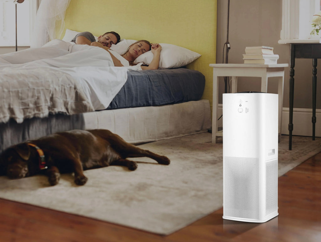Purificateur d'air avec 2 filtres HEPA, PM2, ioniseur, écran tactile LED, 3 vitesses et mode AUTO pour 90m2
