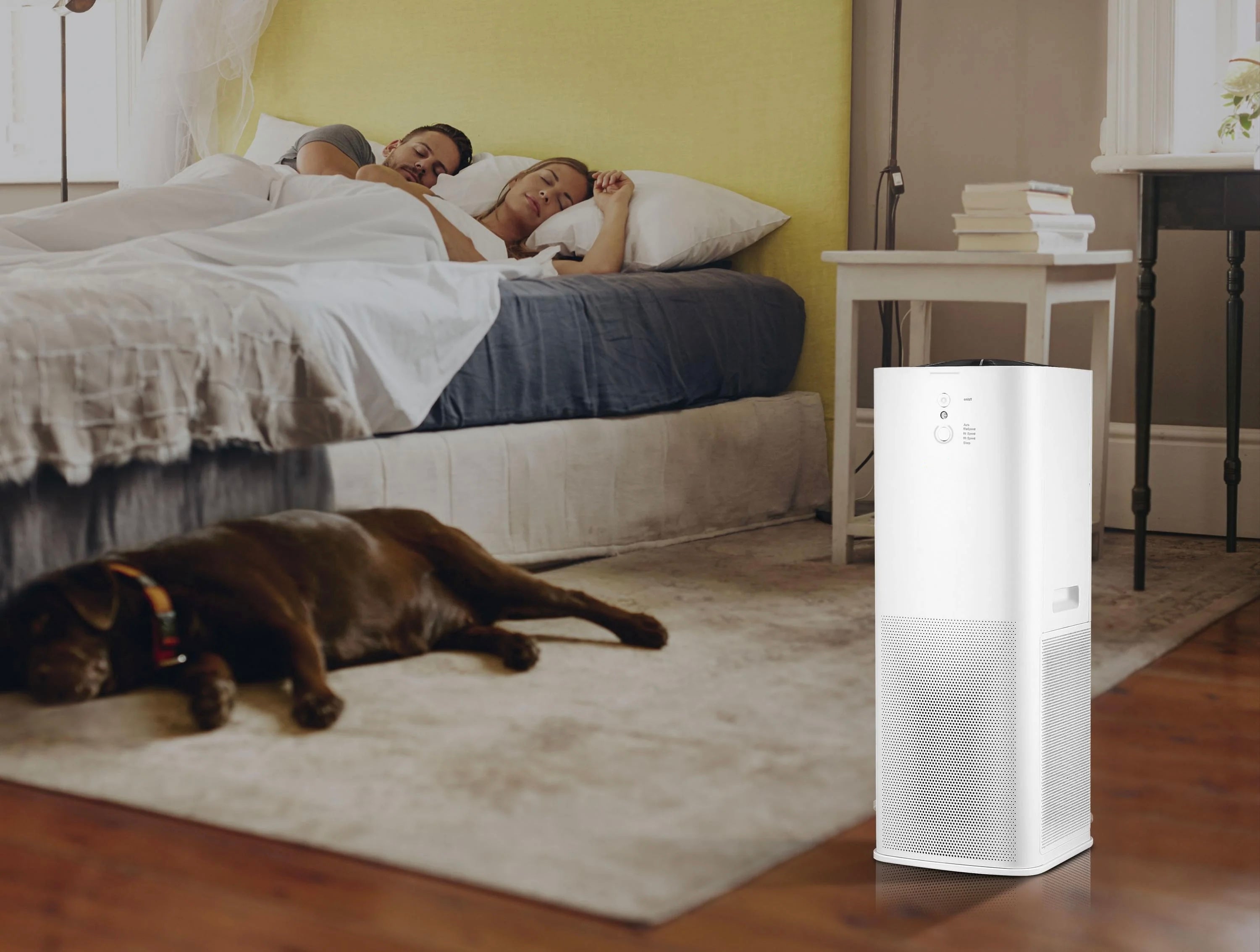 Purificateur d'air avec 2 filtres HEPA, PM2, ioniseur, écran tactile LED, 3 vitesses et mode AUTO pour 90m2
